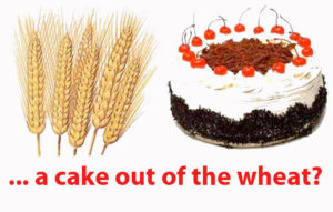 He that will have a cake out of the wheat must tarry the grinding