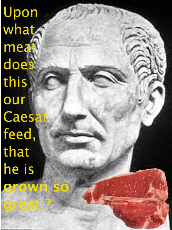 julius caesar quotes about power