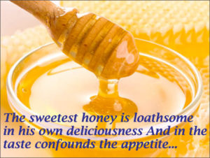 The seetest honey is loathsome in its own deliciousness