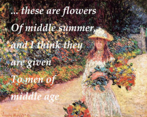 these are flowers of middle summer and I think they are given to men of middle age