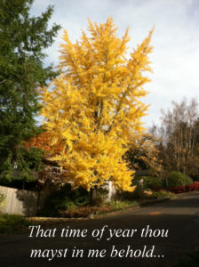 That time of year thou mayst in me behold when yellow leaves or none or few...