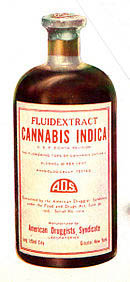 cannabis sativa used extensively in the XIX cemtury as a medicine
