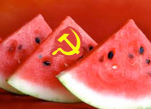 Communists and Watermelons and a quote from Macbeth, “…and begin To doubt the equivocation of the fiend That lies like truth”