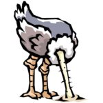 illustration of an ostrich with head in the sand - symbol of the analysis of Bernie Sanders' presidential candidacy.